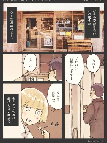 「ストビュー散歩【セキグチ商店】。」