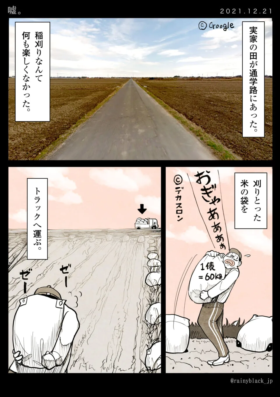 稲刈りで重い米袋を運ぶ高校生の苦悶