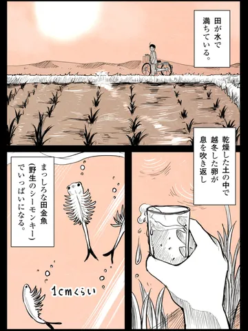 「6月には思い出が少ない。」