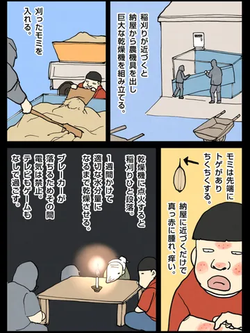 「お米の季節。」