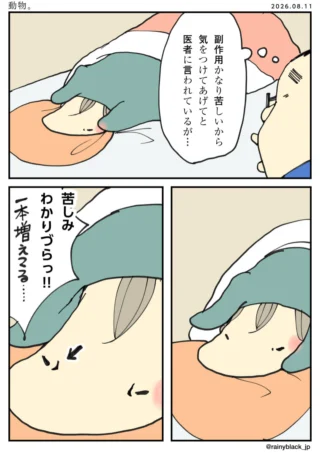 動物