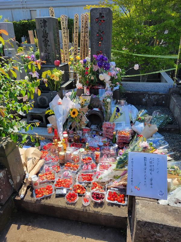 お墓に供えられた花と果物。