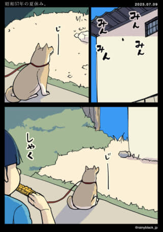 犬が庭で何かを見つめる。