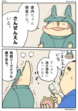家内ちゃんの帰省費用について話す漫画。