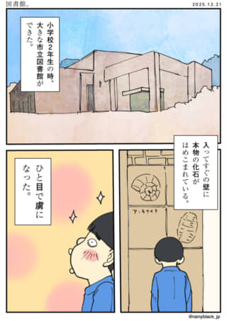 図書館の壁に化石が展示。
