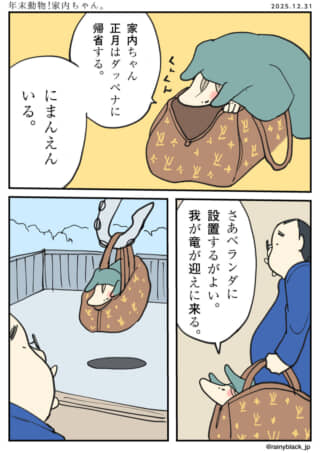 家内ちゃんがバッグで飛ぶ