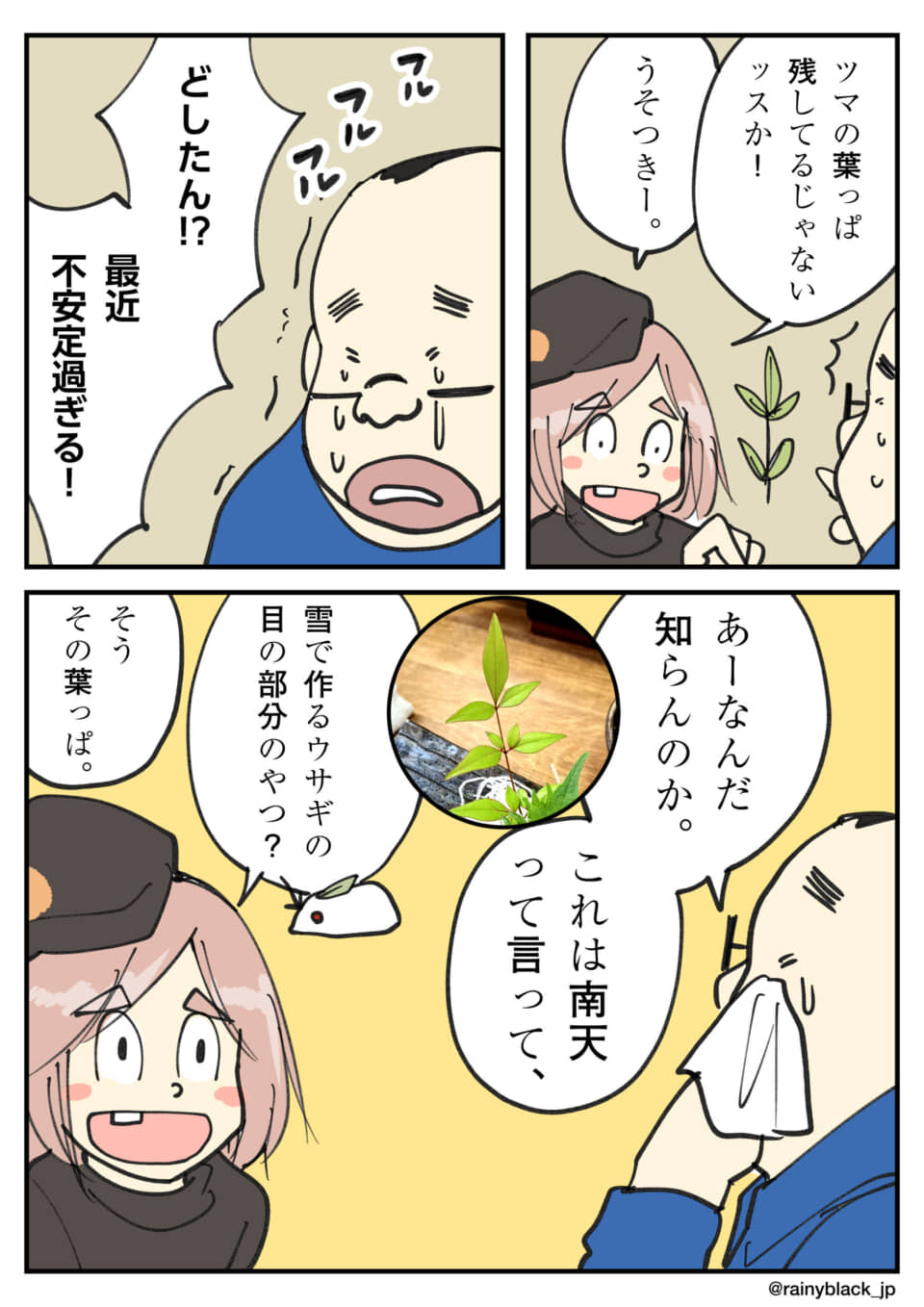 南天の葉を巡る夫婦の誤解