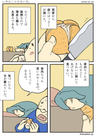 面倒なハッサクを丁寧に剥き続け日が暮れる。