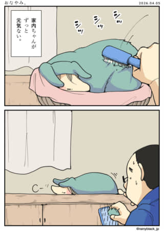 元気がない家内ちゃんをブラシで撫でる男性。