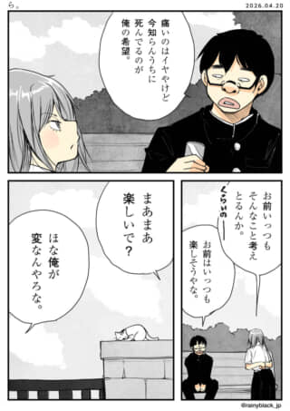 公園で会話をする男女と、塀の上の猫。