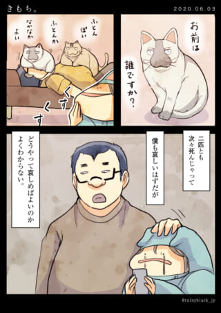 猫が布団に見える不思議な漫画