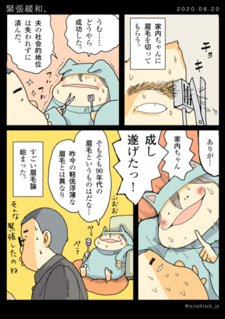 家内が眉毛を整える漫画。