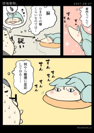 家内ちゃんが何かをクンクン嗅ぐ。